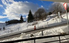Utulny Apartman Triangel 50M Od Lyziarskeho Vleku Zahradky
